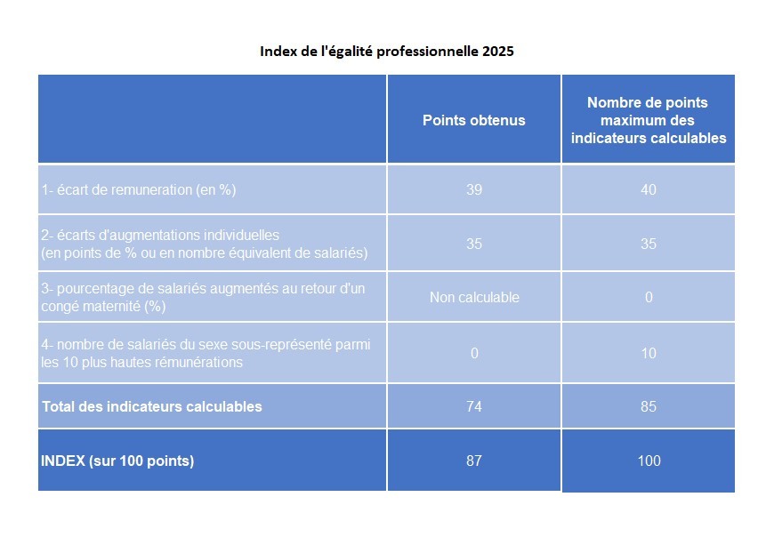 Index Egalité professionnelle 2025