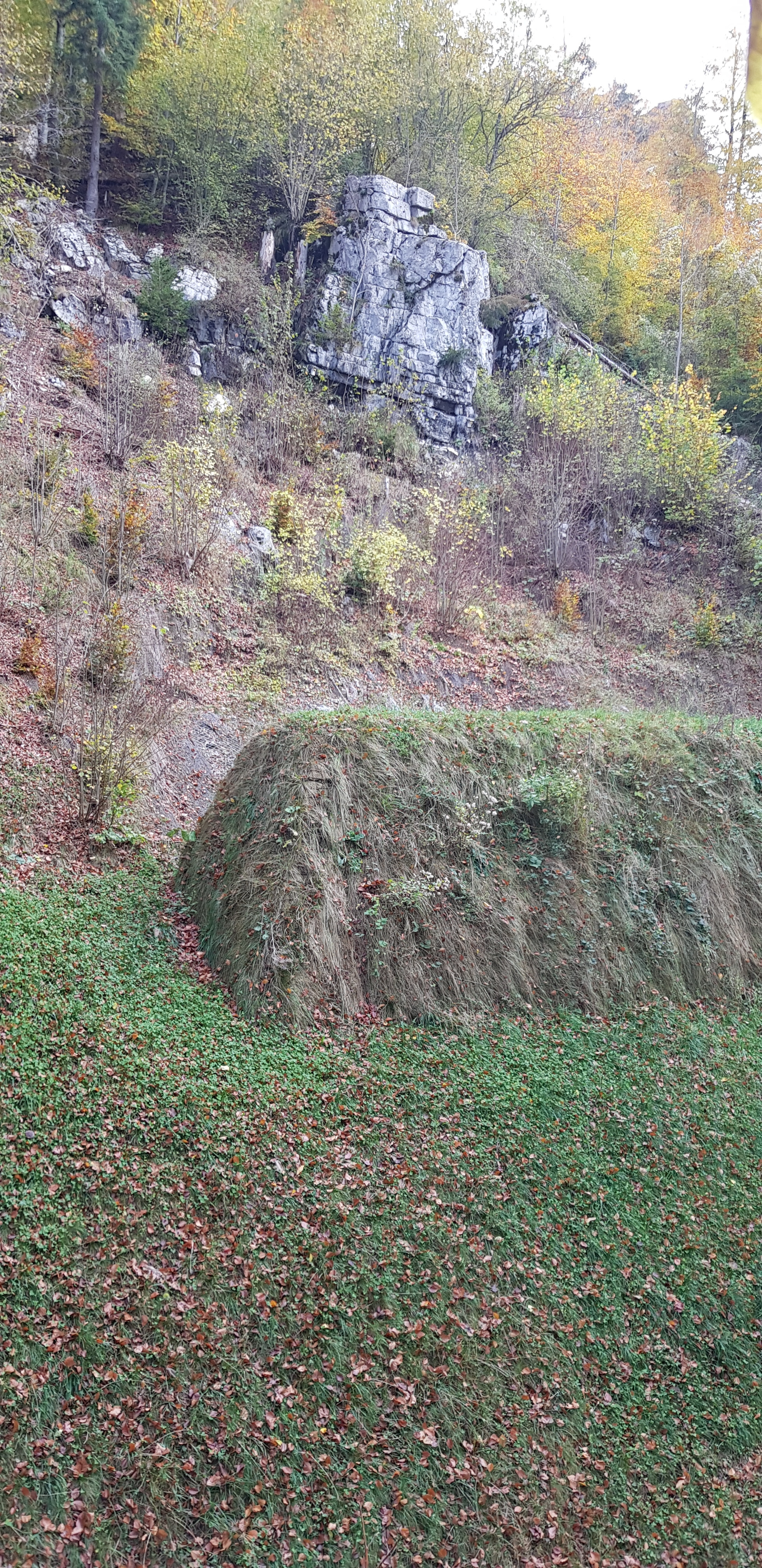 Erddamm, Zustand vor der Sanierung. Im Hintergrund die instabile Felsnase. Paradiesli (Meiringen, BE)