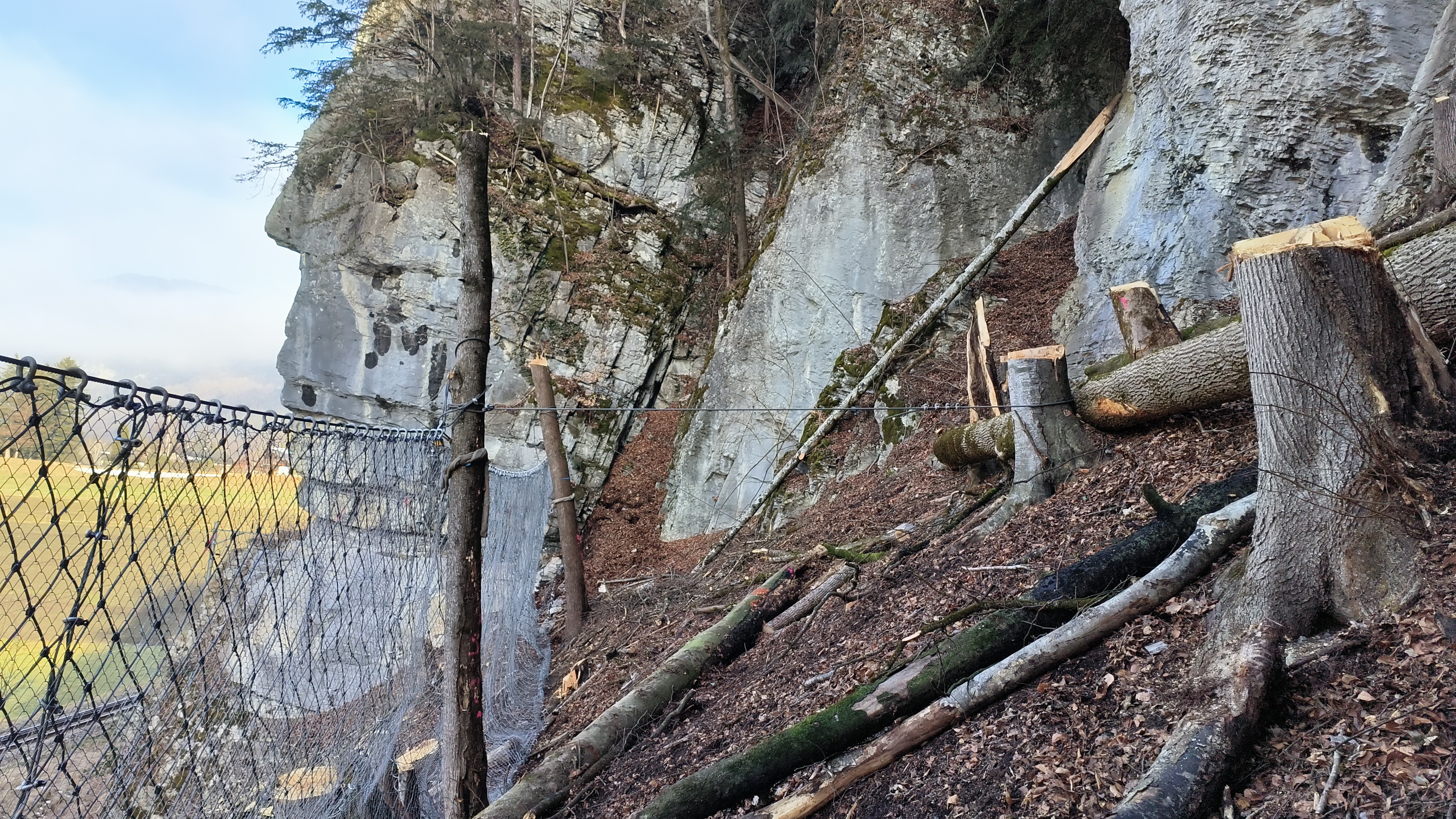 Sofortmassnahme: Temporäre Steinschlagbarriere in Meiringen BE