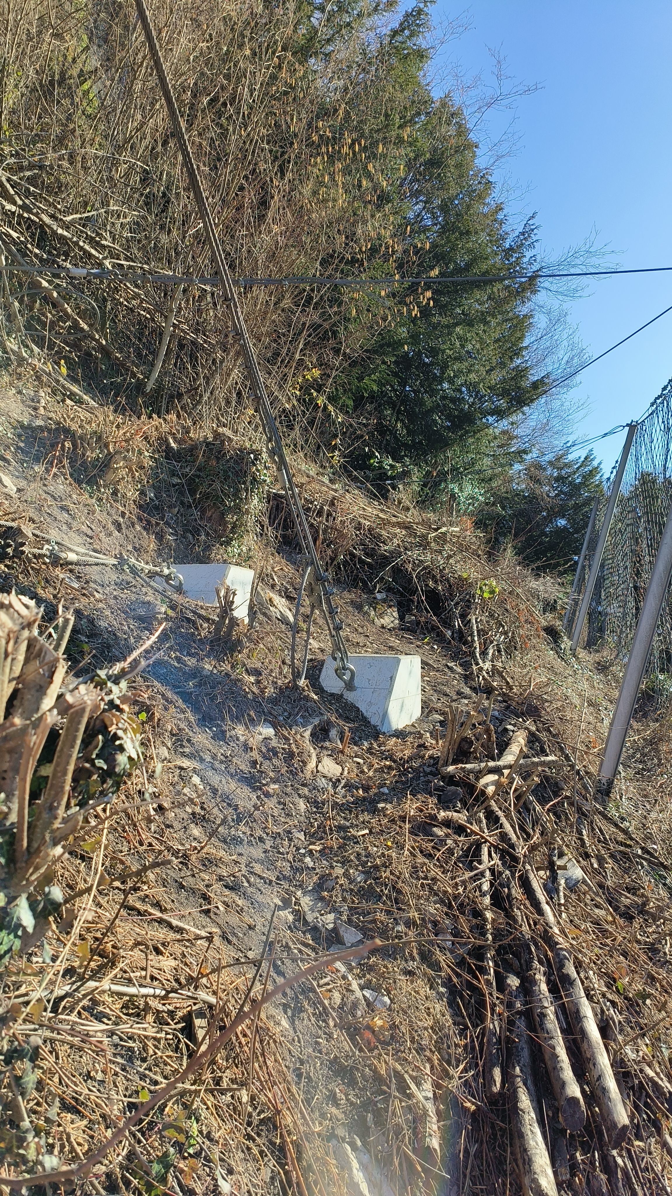 Erhalt Steinschlagbarriere durch Ankerersatz für die seitlichen Abspannungen (Ringgenberg, BE)