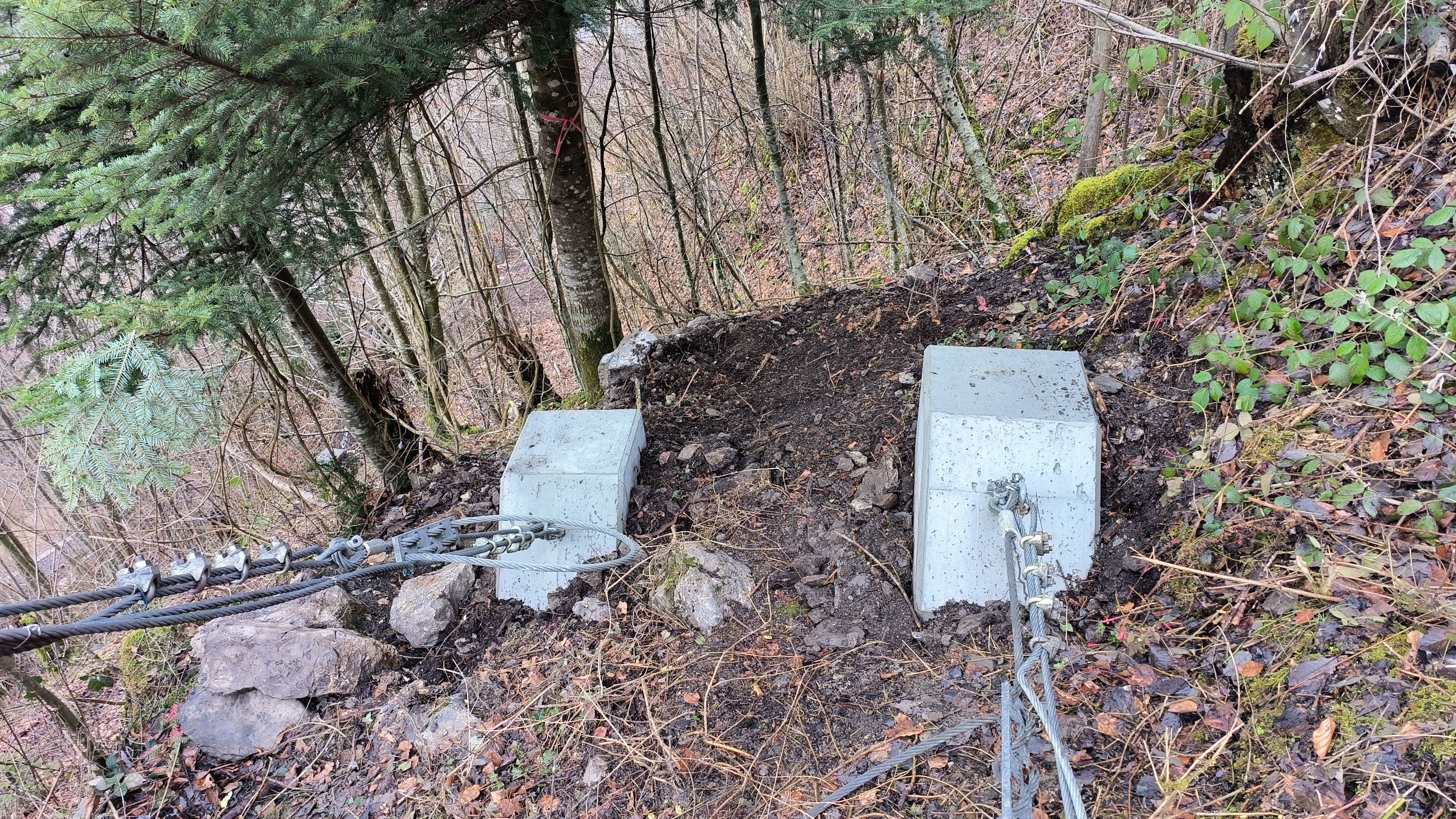 Erhalt Steinschlagbarriere durch Ankerersatz für die seitlichen Abspannungen (Ringgenberg, BE)
